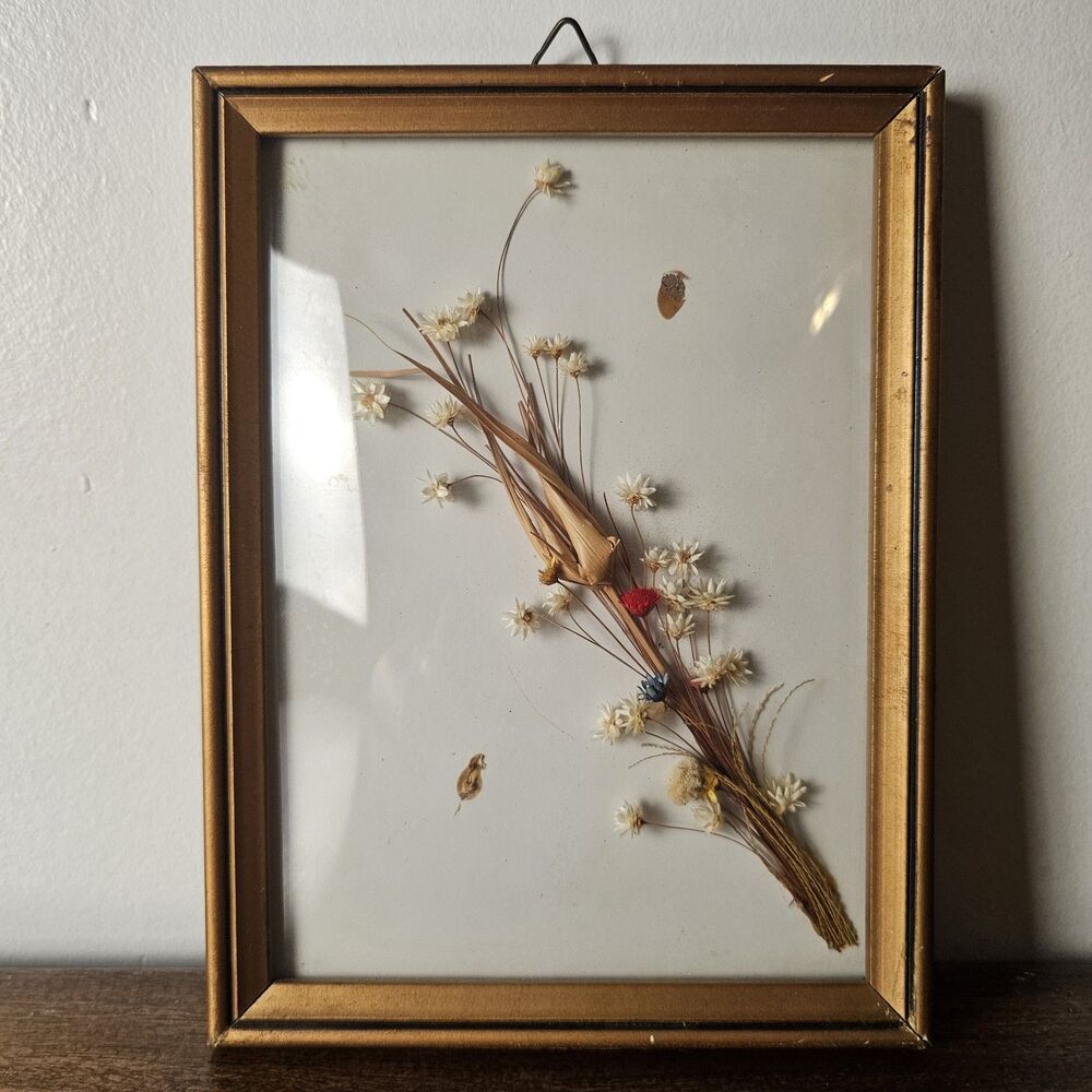 Vintage 1997 Pressed Botanical Flower Art Gold Frame Brazil 6x8